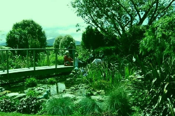 Ivy, 30 — Escort in Woodend, New Zealand