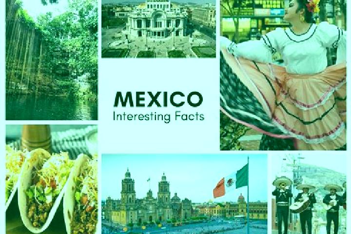 Ivy, 31 — Escort in Articulo 27, Mexico