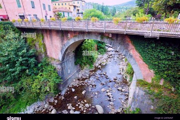 Ivy, 31 — Escort in Bagnone, Italy
