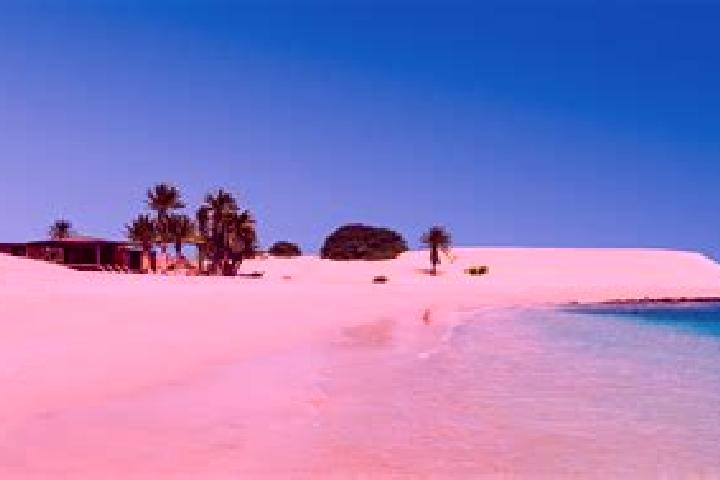Ivy, 31 — Escort in Boa Vista, Portugal