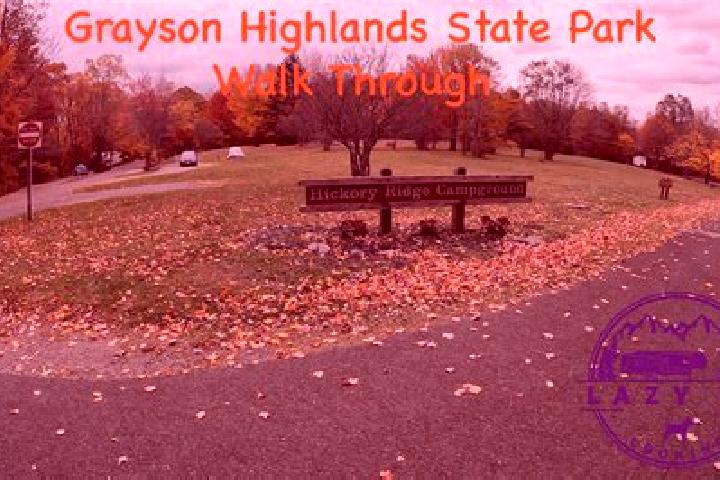 Ivy, 31 — Escort in Grayson Valley, United States