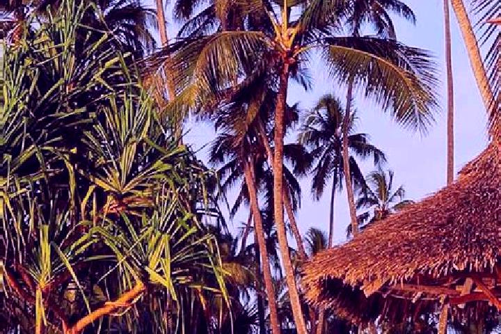 Ivy, 31 — Escort in Kilimatinde, Tanzania