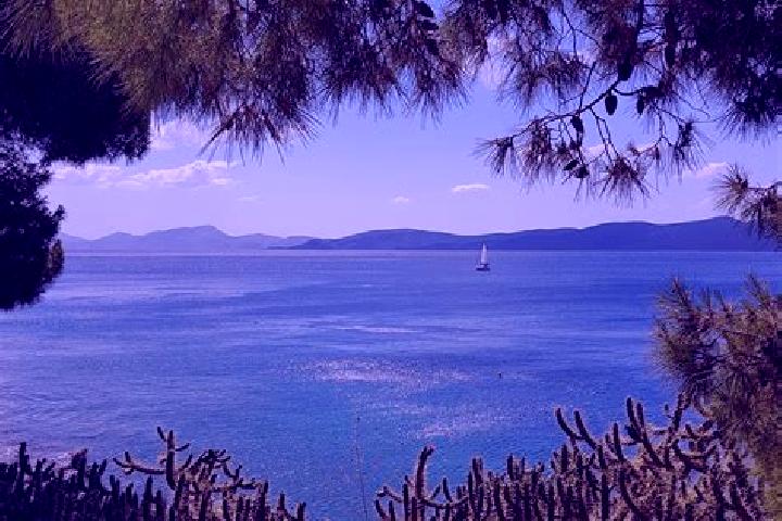 Ivy, 31 — Escort in Nerokouros, Greece