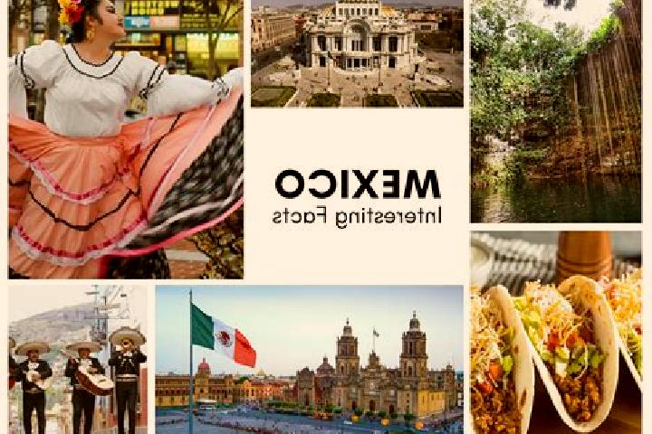 Ivy, 31 — Escort in Panatlan, Mexico