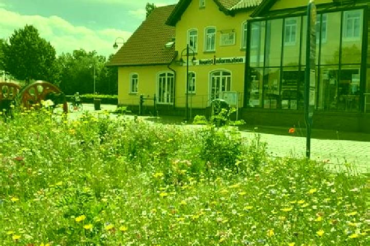 Ivy, 31 — Escort in Schortens, Germany