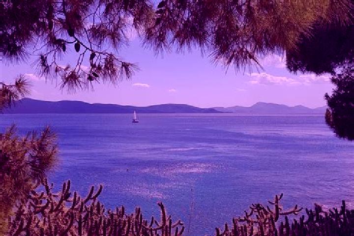 Ivy, 31 — Escort in Varda, Greece