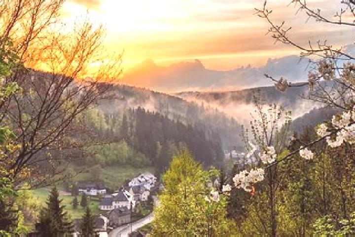 Ivy, 31 — Escort in Wallenfels, Germany