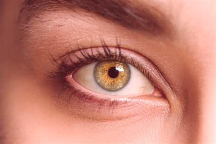 Ivy, 32, a chestnut hazel-eyed mixed companion based in El Cisne. Offering Couples, Tantra, Fetish. Available for incall and outcall, day and evening dates.