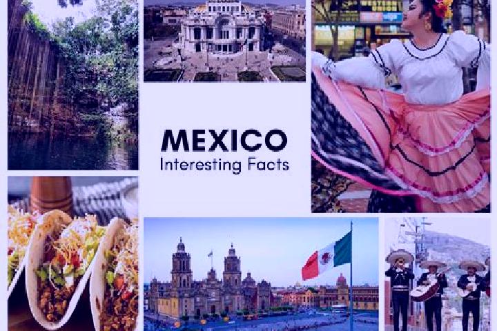Ivy, 32 — Escort in Alamito, Mexico