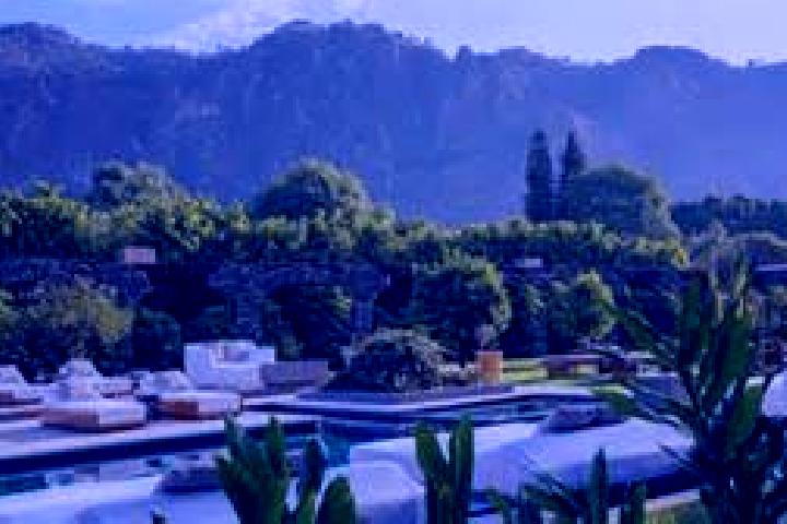 Ivy, 32 — Escort in Chinameca, Mexico