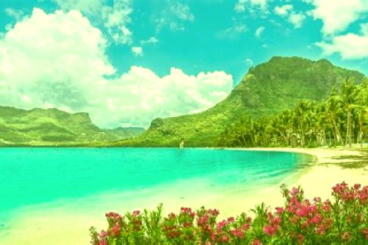 Ivy, 32 — Escort in Ecroignard, Mauritius