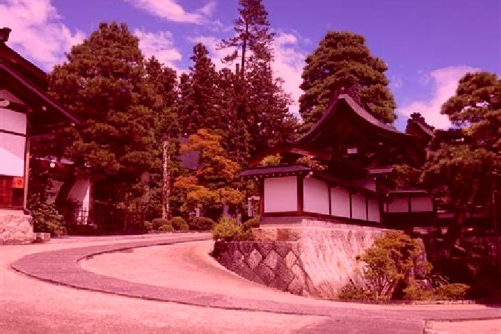 Ivy, 32 — Escort in Kofu, Japan