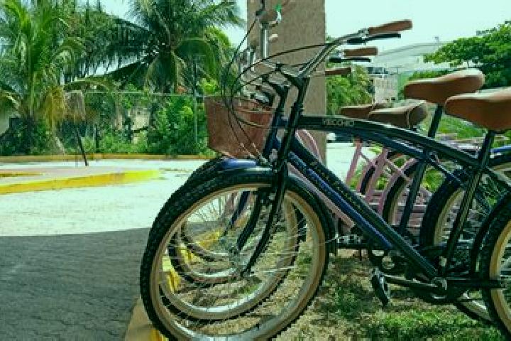 Ivy, 32 — Escort in Solidaridad, Mexico