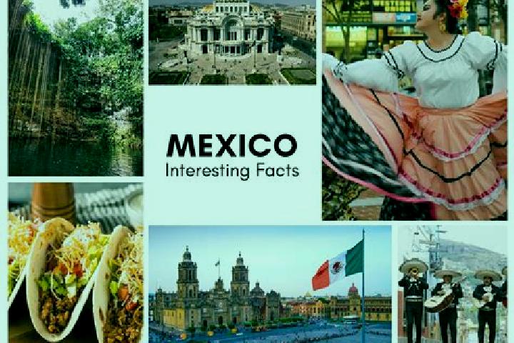 Ivy, 32 — Escort in Ticum, Mexico
