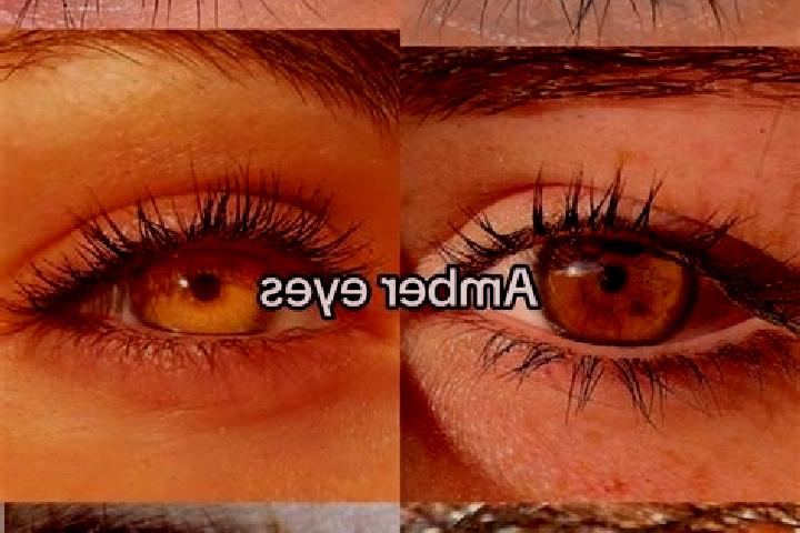 Ivy, 33, a chestnut amber-eyed caucasian companion based in Vol sk. Offering Erotic Massage, BDSM, Massage, Striptease, A-Level. Available for incall and out...
