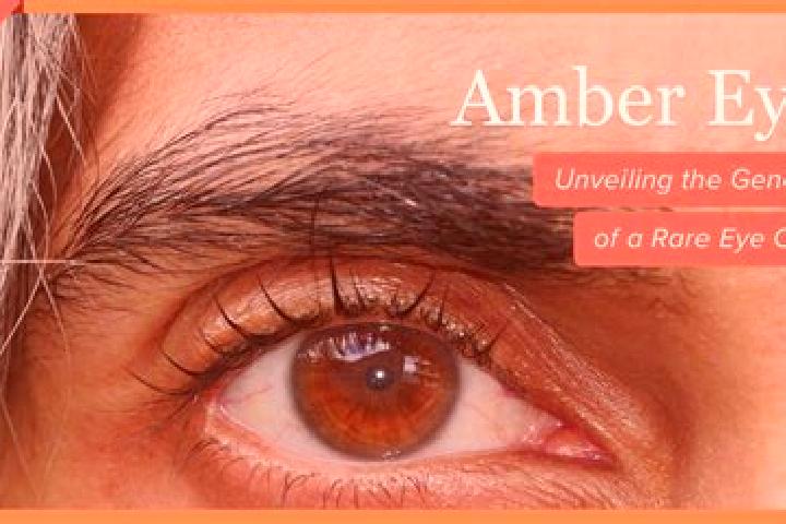 Ivy, 33, a red amber-eyed mediterranean companion based in Greenwell Point. Offering Deep French Kissing, Erotic Massage, Duos, Prostate Massage, Fetish. Ava...