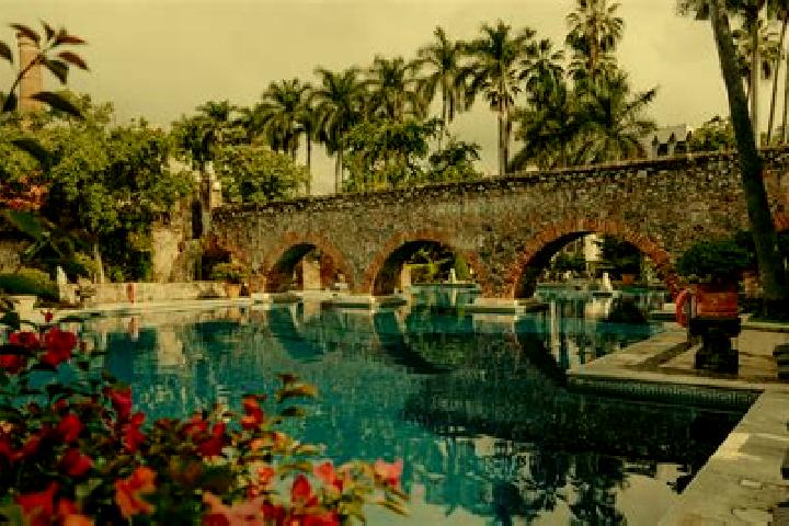 Ivy, 33 — Escort in Bosques de la Hacienda, Mexico