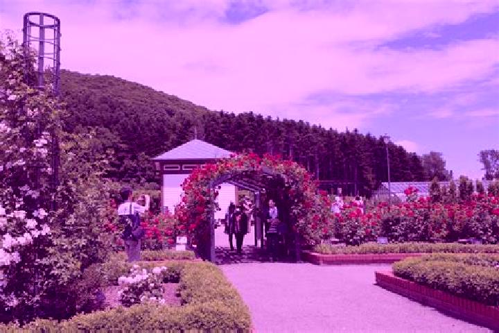 Ivy, 33 — Escort in Iwamizawa, Japan