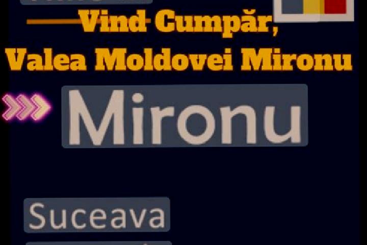 Ivy, 33 — Escort in Mironu, Romania