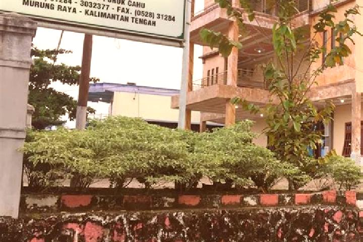 Ivy, 33 — Escort in Puruk Cahu, Indonesia
