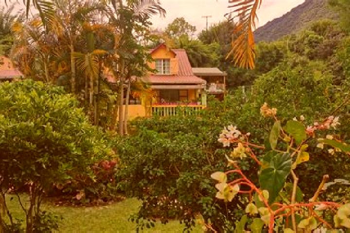 Ivy, 33 — Escort in Salazie, Reunion