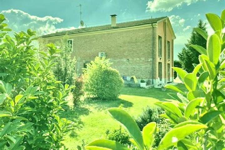 Ivy, 33 — Escort in Sasso Morelli, Italy