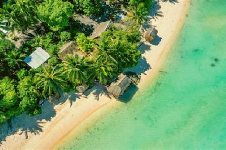 Ivy, 34, a black hazel-eyed caribbean companion based in Tabwakea Village. Offering Roleplay, Dinner Date, Travel Companion, GFE. Available for incall and ou...