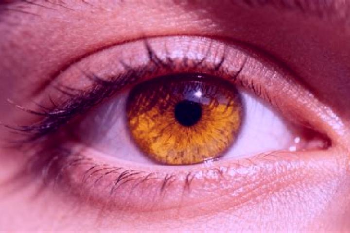 Ivy, 34, a red amber-eyed european companion based in Willems. Offering 69, Girlfriend Experience, Domination, CIM. Available for incall and outcall, overnig...