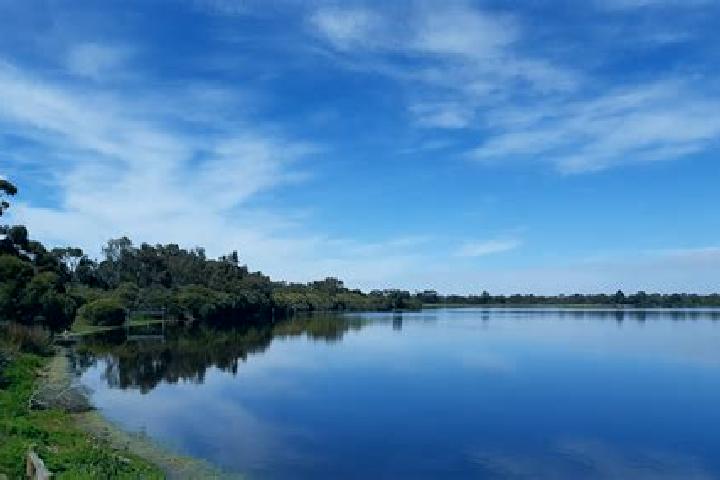 Ivy, 34 — Escort in Bibra Lake, Australia