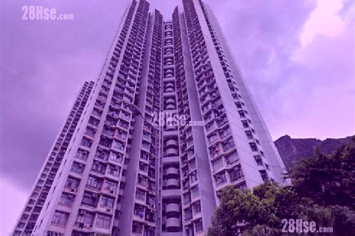 Ivy, 34 — Escort in Choi Wan Estate (I & II), Hong Kong