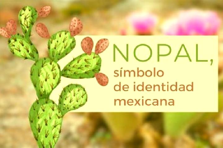 Ivy, 34 — Escort in El Nopal, Mexico