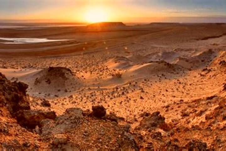 Ivy, 34 — Escort in La Gueera, Western Sahara