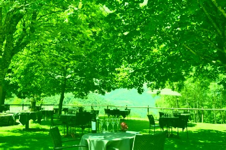 Ivy, 34 — Escort in Le Bosc, France