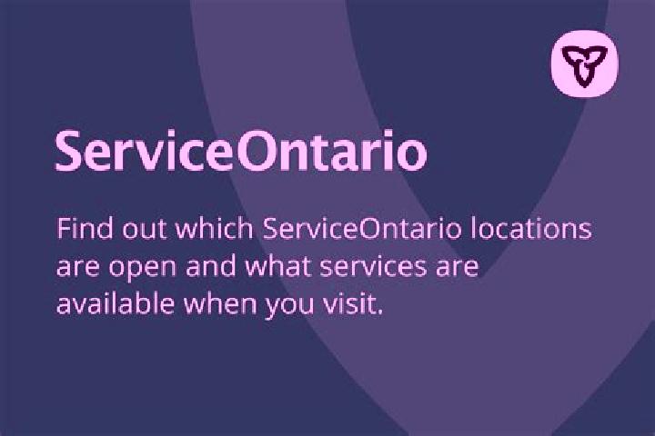 Ivy, 34 — Escort in Ogilvie Ridge, Canada