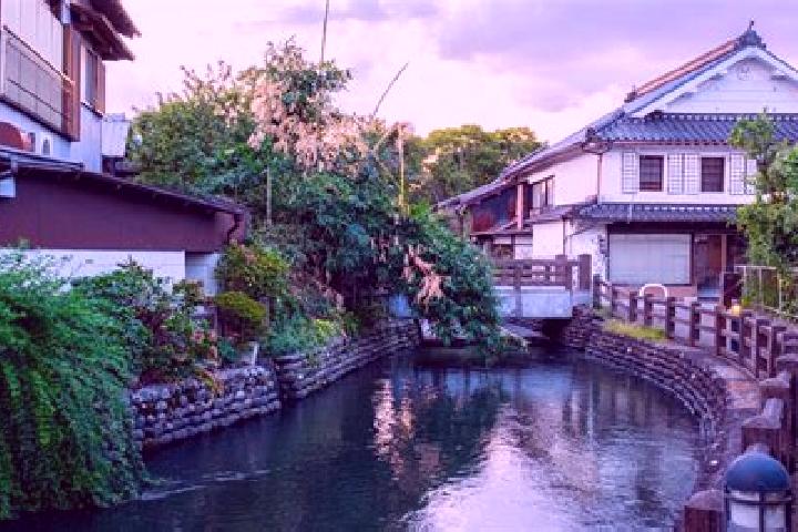 Ivy, 34 — Escort in Ukiha, Japan