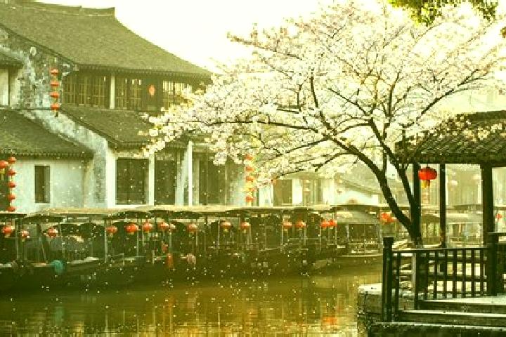 Ivy, 34 — Escort in Xitang, China