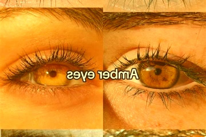 Ivy, 35, a chestnut amber-eyed indian companion based in Yesilova. Offering GFE, Dinner Date, Deep French Kissing, Couples. Available for incall and outcall,...
