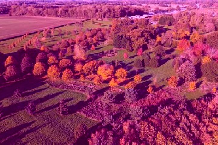 Ivy, 35 — Escort in Burton Constable, United Kingdom