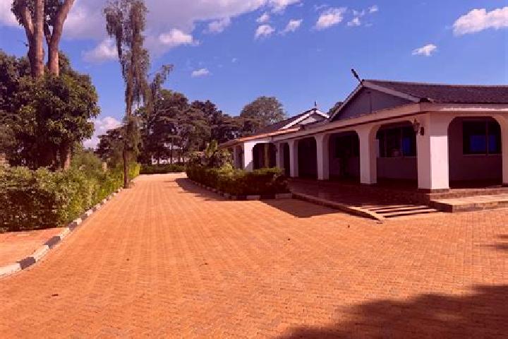 Ivy, 35 — Escort in Busia, Kenya