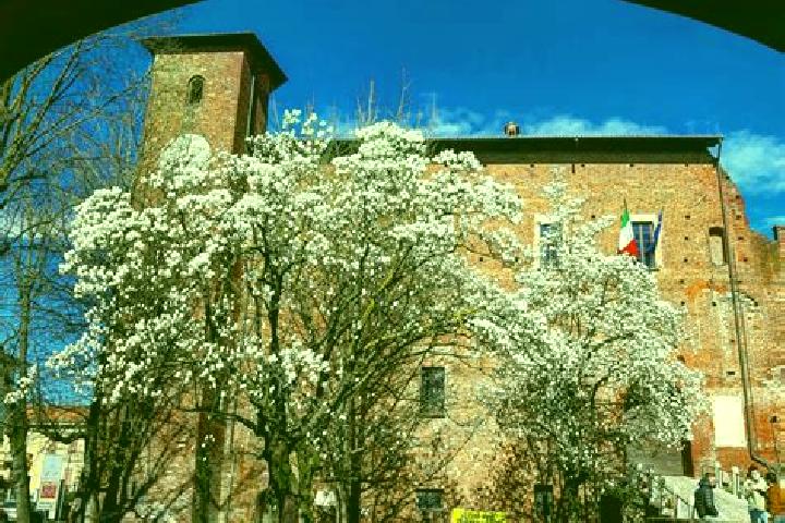 Ivy, 35 — Escort in Cernusco sul Naviglio, Italy