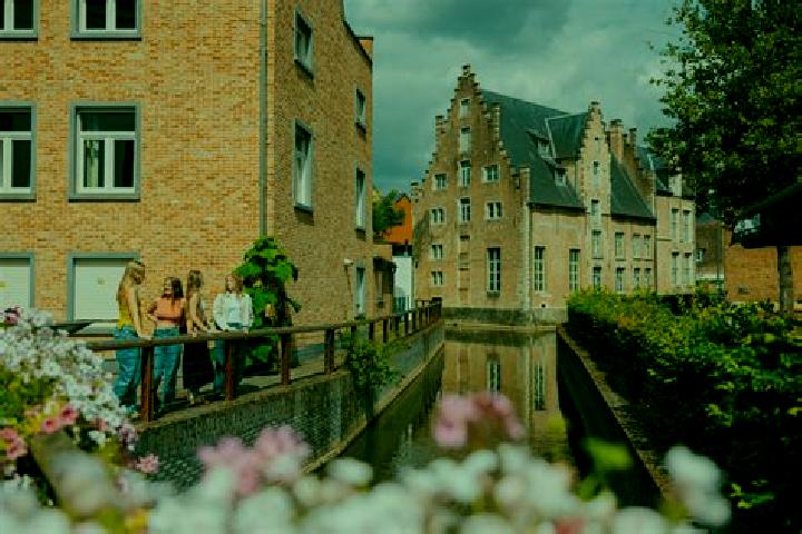 Ivy, 35 — Escort in Diest, Belgium