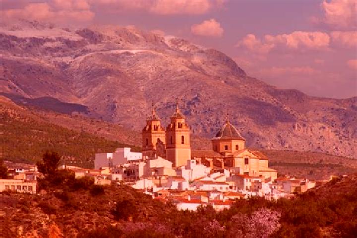 Ivy, 35 — Escort in El Rubio, Spain