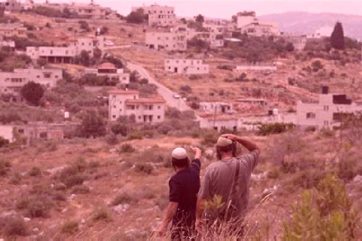 Ivy, 35 — Escort in Kokhav Michael Sobell, Israel
