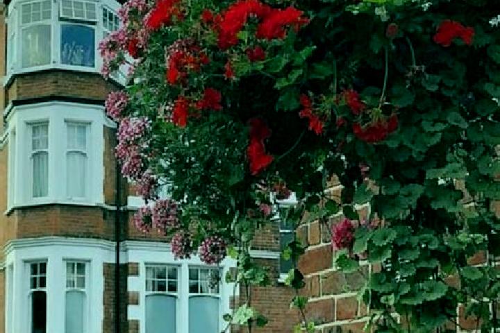 Ivy, 35 — Escort in Muswell Hill, United Kingdom