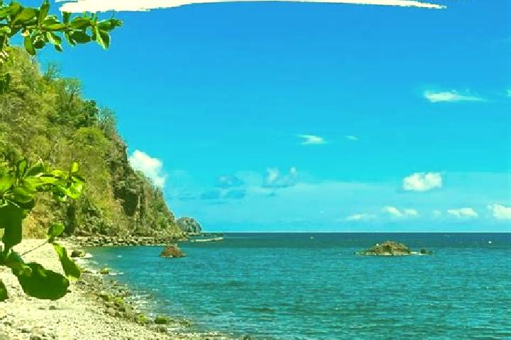 Ivy, 35 — Escort in Pointe Michel, Dominica