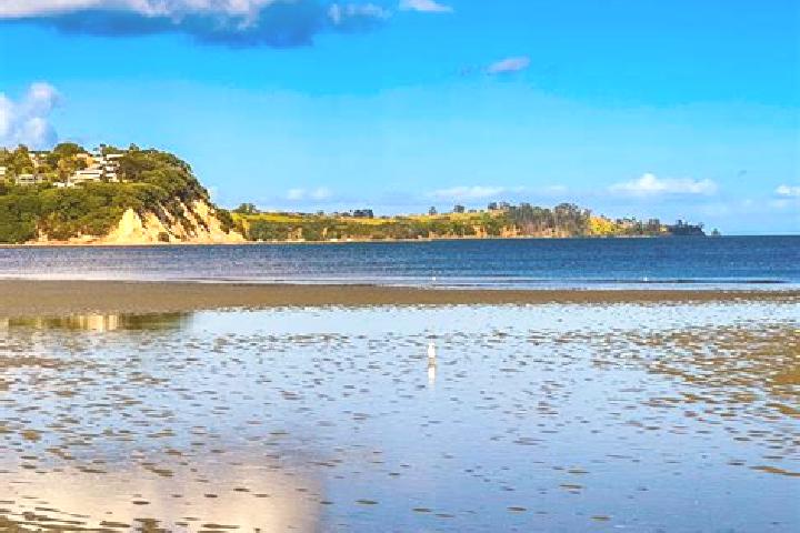 Ivy, 35 — Escort in Snells Beach, New Zealand
