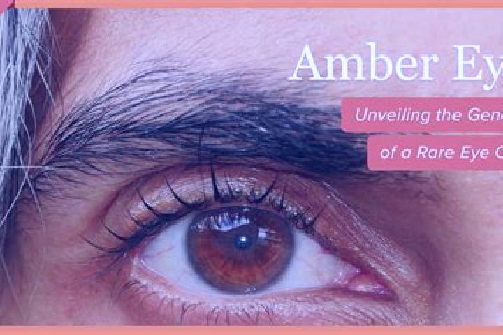 Ivy, 36, a black amber-eyed indian companion based in Mratin. Offering GFE, Massage, Couples, A-Level. Available for incall and outcall, overnight bookings a...