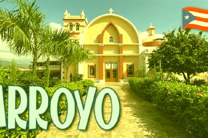 Ivy, 36 — Escort in Arroyo, Puerto Rico