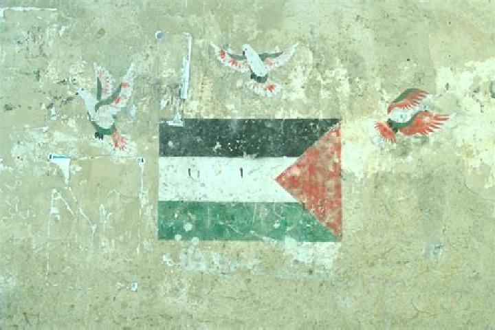Ivy, 36 — Escort in Bani Zayd ash Sharqiyah, Palestine
