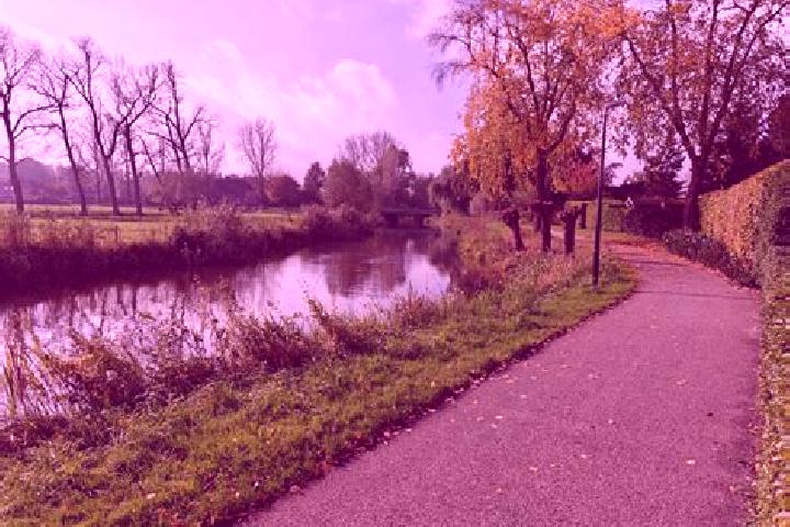 Ivy, 36 — Escort in Boxtel, Netherlands